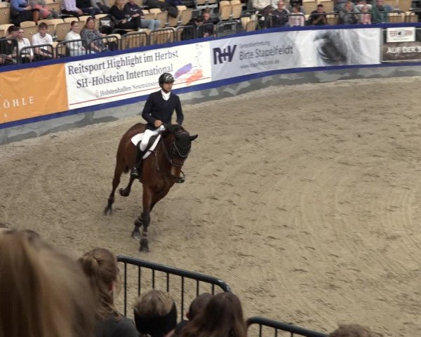 FEI Reitturnier Neumünster 2022