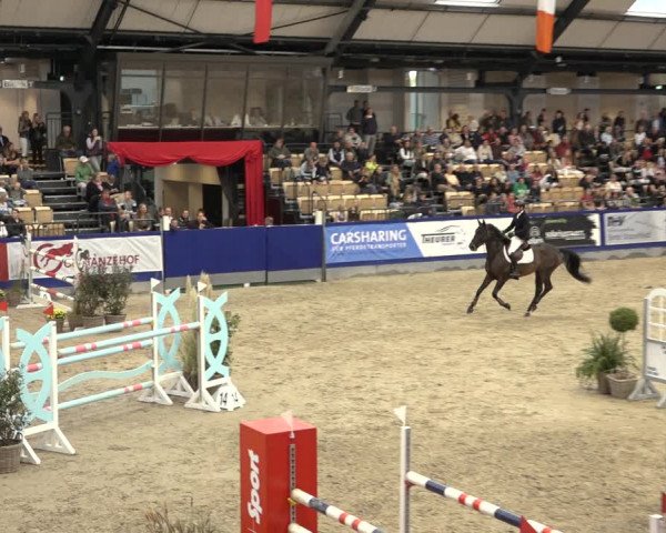 FEI Reitturnier Neumünster 2022