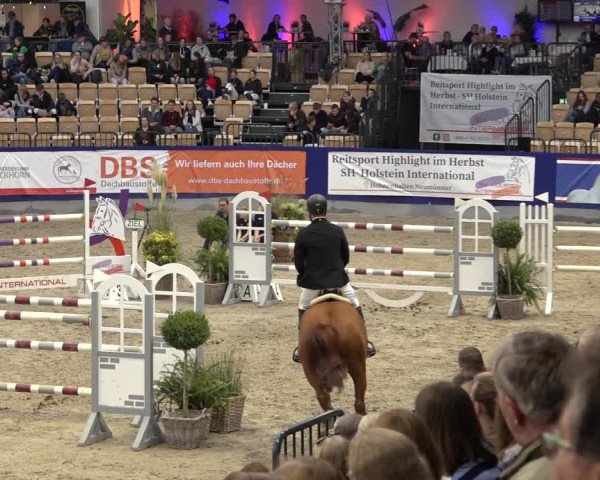 FEI Reitturnier Neumünster 2022
