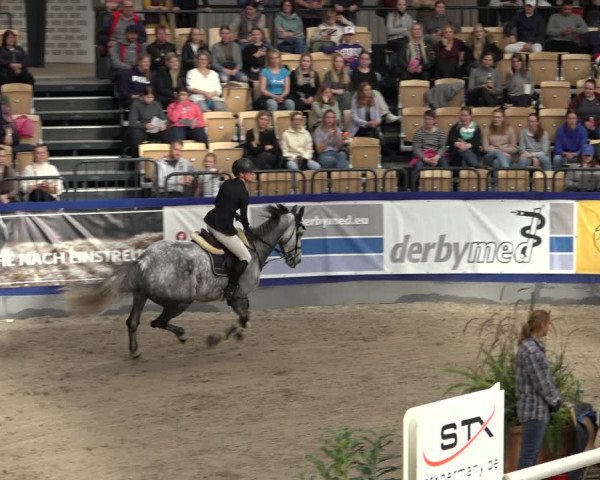 FEI Reitturnier Neumünster 2022
