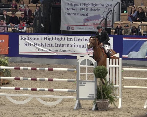 FEI Reitturnier Neumünster 2022