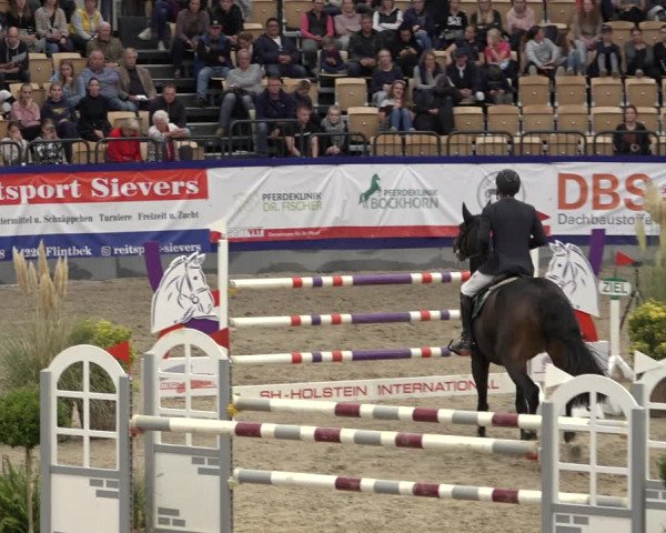 FEI Reitturnier Neumünster 2022
