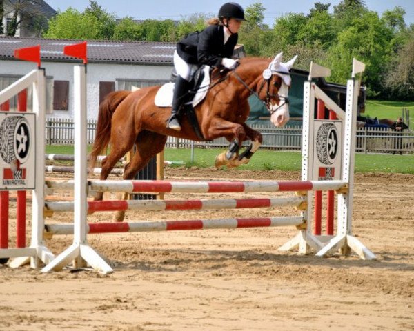 jumper Anastassia (Zweibrücken, 1996, from Alexis Z)
