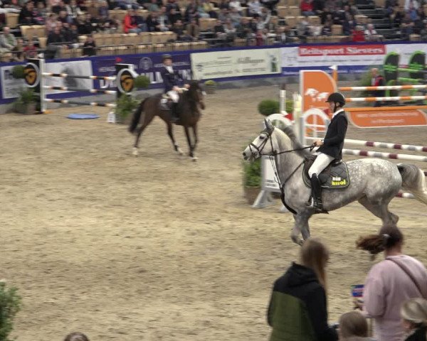 FEI Reitturnier Neumünster 2022