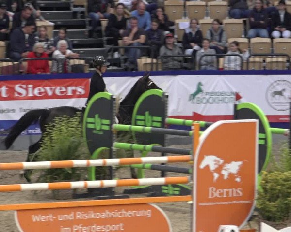 FEI Reitturnier Neumünster 2022