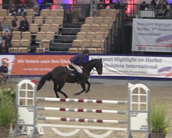 FEI Reitturnier Neumünster 2022
