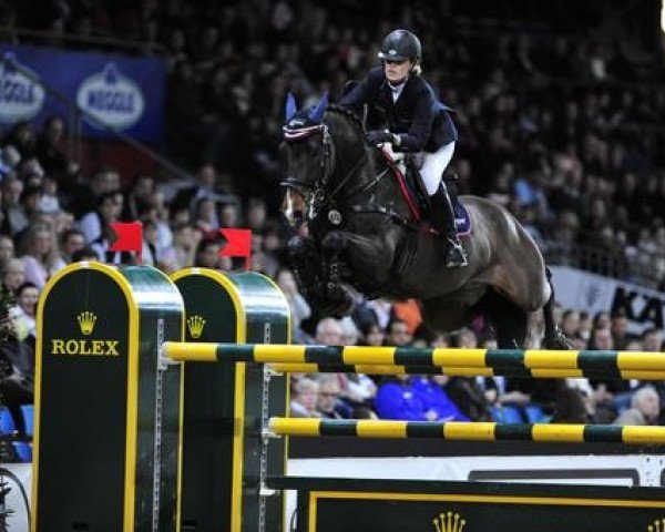 jumper Cellagon Lambrasco (Holsteiner, 1998, from Libero H)