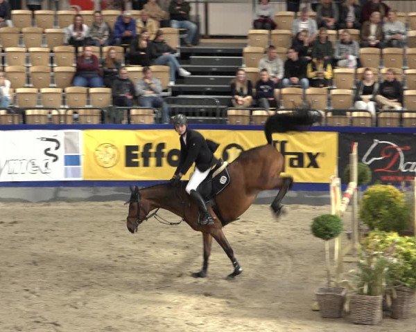 FEI Reitturnier Neumünster 2022