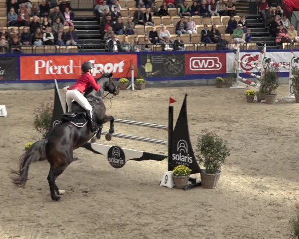 FEI Reitturnier Neumünster 2022