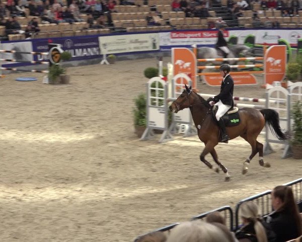 FEI Reitturnier Neumünster 2022