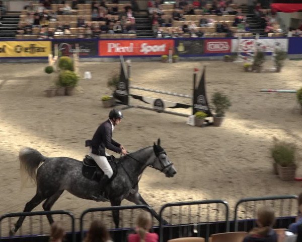 FEI Reitturnier Neumünster 2022