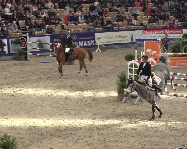 FEI Reitturnier Neumünster 2022