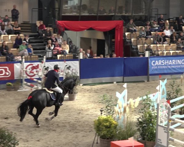 FEI Reitturnier Neumünster 2022