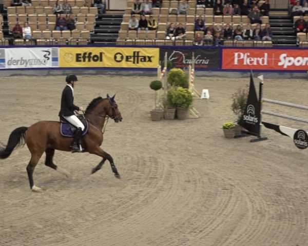 FEI Reitturnier Neumünster 2022