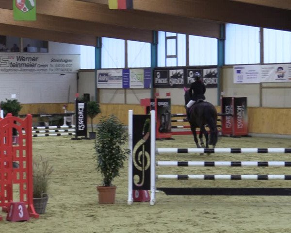 Reitturnier Steinhagen 2022