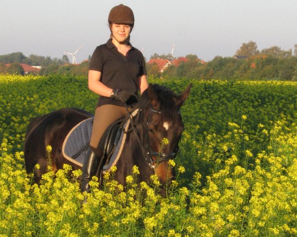 Springpferd Rivana E (Westfale, 2001, von Regazzoni)
