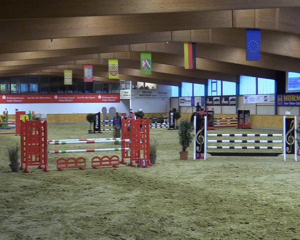 Reitturnier Steinhagen 2022