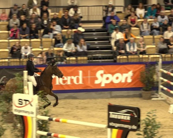 FEI Reitturnier Neumünster 2022