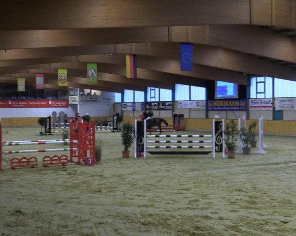 Reitturnier Steinhagen 2022