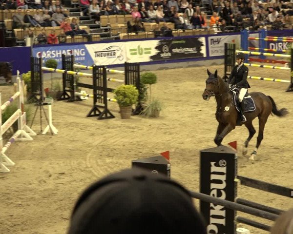 FEI Reitturnier Neumünster 2022
