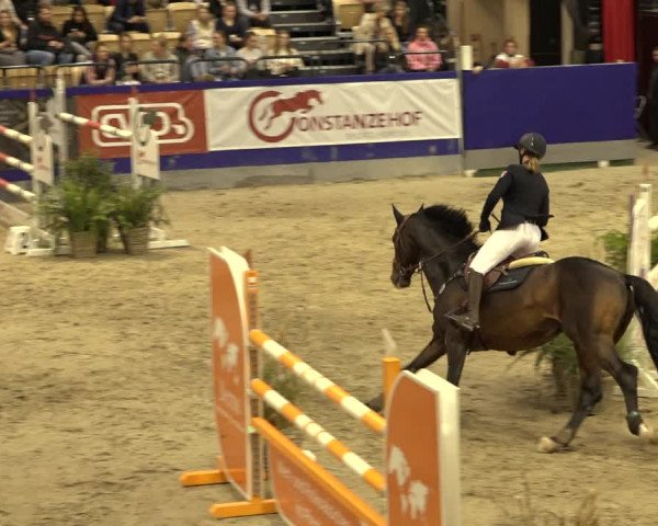 FEI Reitturnier Neumünster 2022
