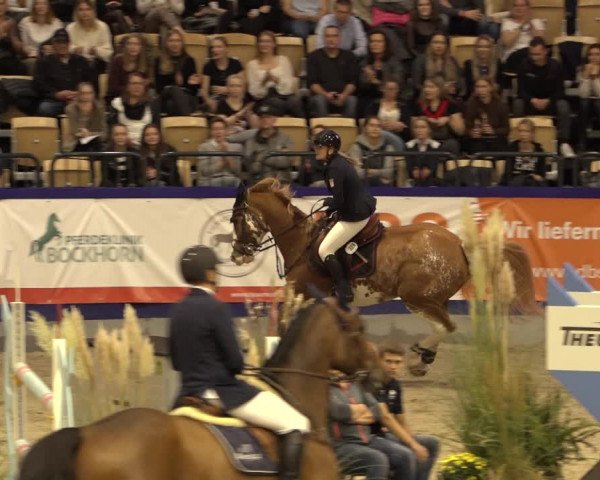 FEI Reitturnier Neumünster 2022