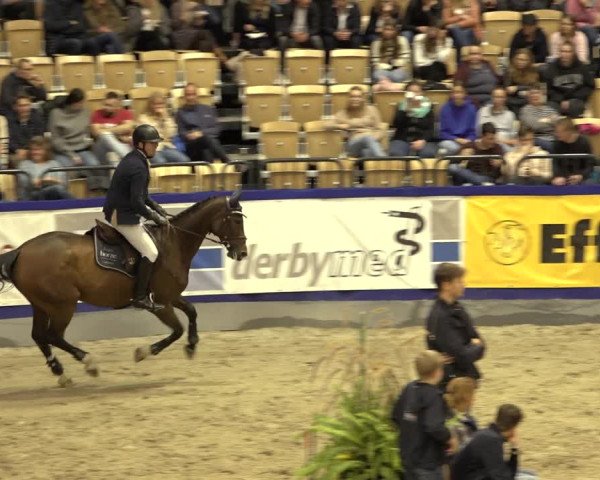 FEI Reitturnier Neumünster 2022