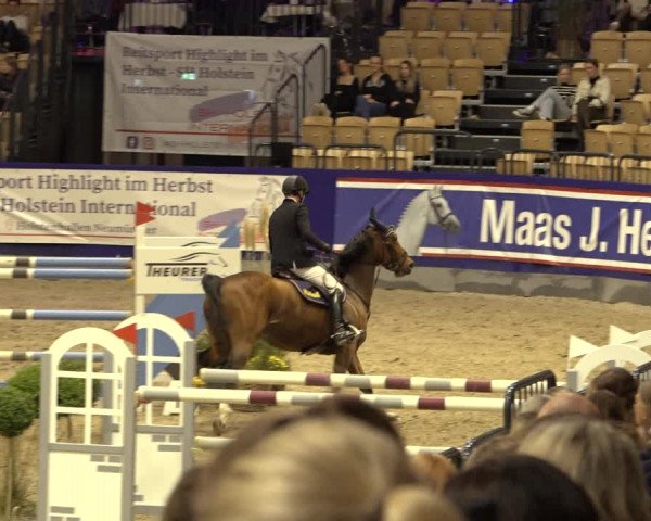 FEI Reitturnier Neumünster 2022
