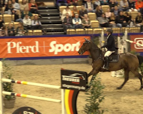 FEI Reitturnier Neumünster 2022