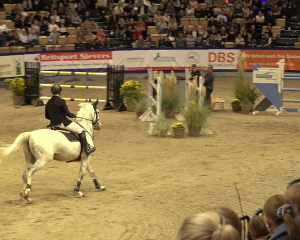 FEI Reitturnier Neumünster 2022