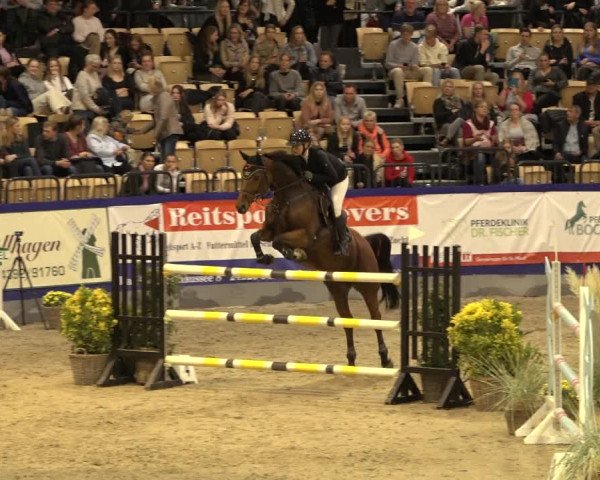 FEI Reitturnier Neumünster 2022