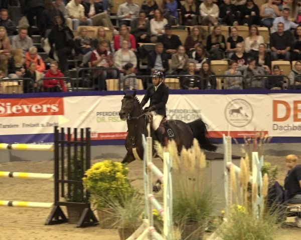 FEI Reitturnier Neumünster 2022