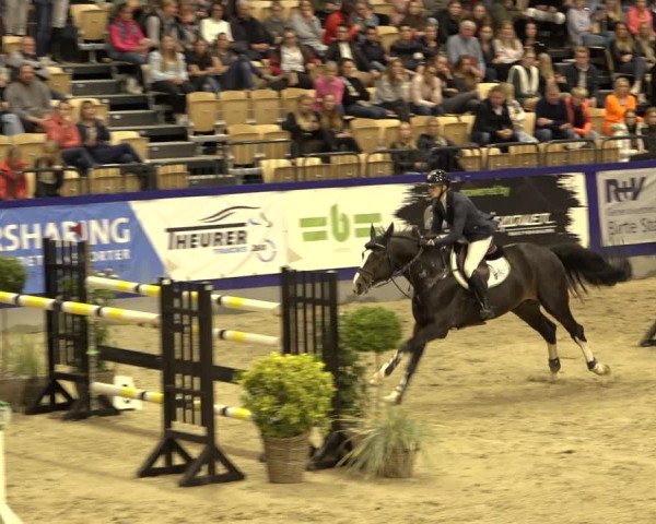 FEI Reitturnier Neumünster 2022
