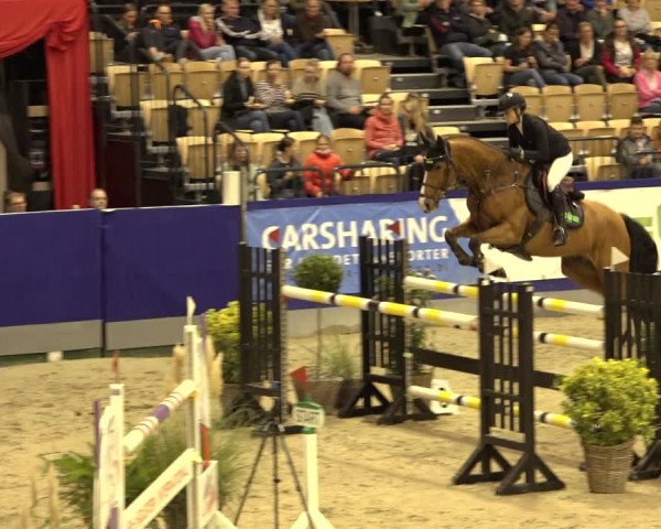 FEI Reitturnier Neumünster 2022