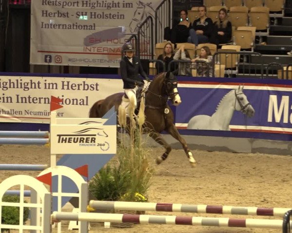 FEI Reitturnier Neumünster 2022
