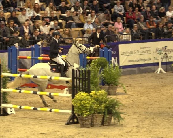 FEI Reitturnier Neumünster 2022