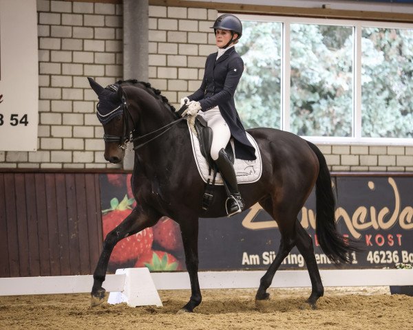 dressage horse Florent O (Oldenburg, 2015, from Farrell)
