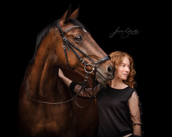 dressage horse Eastwood 31 (KWPN (Royal Dutch Sporthorse), 2009, from Flemmingh)