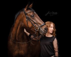 dressage horse Eastwood 31 (KWPN (Royal Dutch Sporthorse), 2009, from Flemmingh)