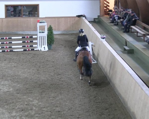 Reitturnier Hövelhof 2022