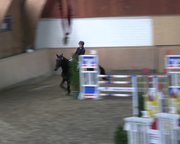 Reitturnier Hövelhof 2022