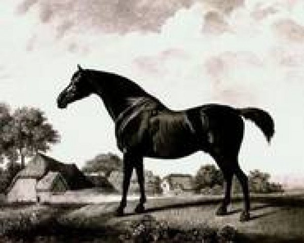 Deckhengst Sweetbriar xx (Englisches Vollblut, 1768, von Syphon xx)