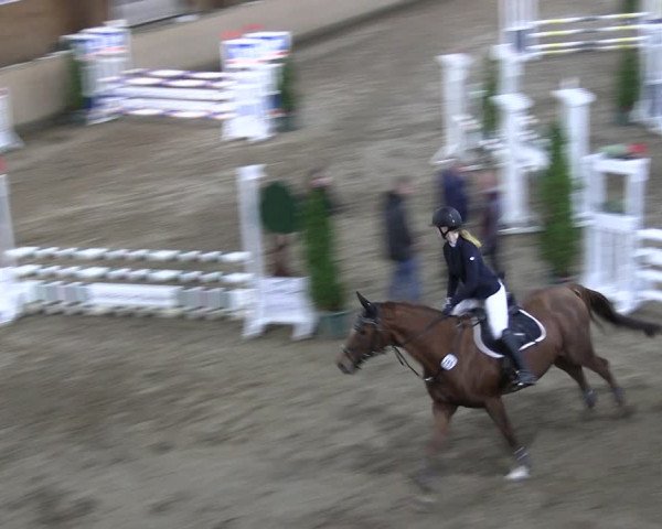 Reitturnier Hövelhof 2022
