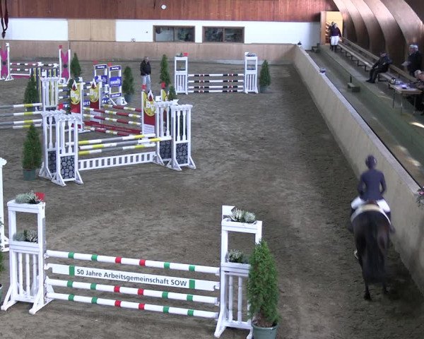 Reitturnier Hövelhof 2022