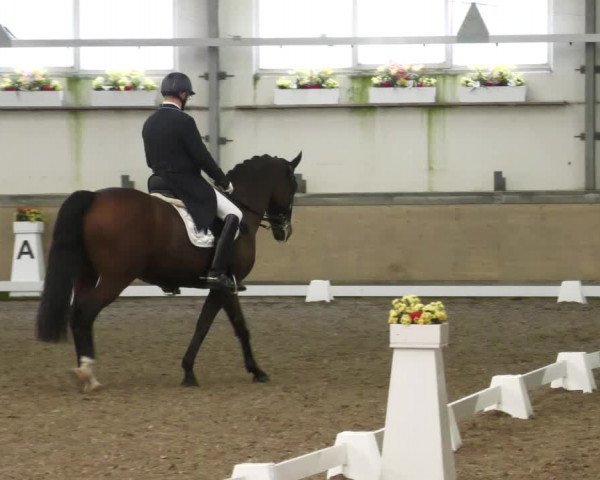 Reitturnier Waghäusel-Wiesental 2022