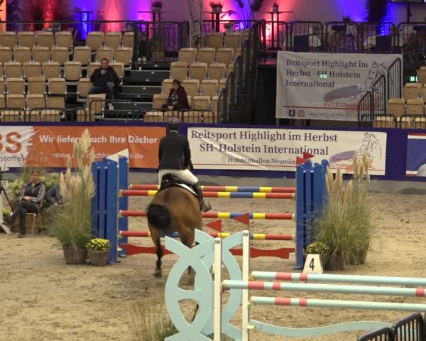 FEI Reitturnier Neumünster 2022