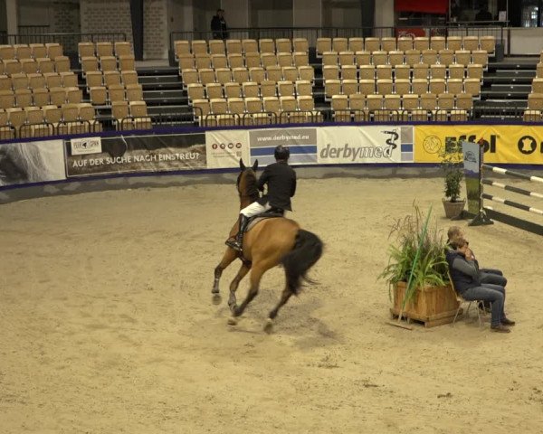 FEI Reitturnier Neumünster 2022