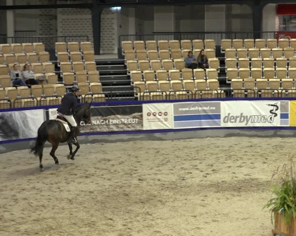FEI Reitturnier Neumünster 2022