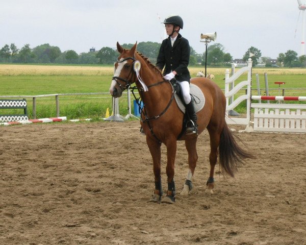 horse Gyana 2 (Hanoverian, 1996, from Grand Cru) horse Gyana 2 (Hanoverian, 1996, from Grand Cru)