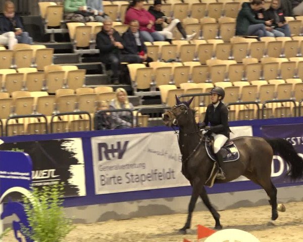 FEI Reitturnier Neumünster 2022